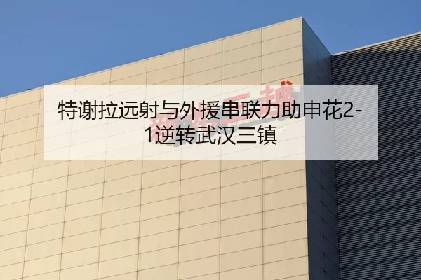 特谢拉远射与外援串联力助申花2-1逆转武汉三镇